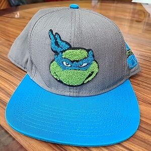 Nicolodion Leonardo Teenage Mutant Ninja Turtle Hat Grey Blue 2013
